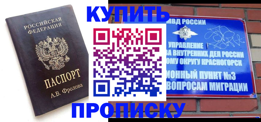 прописка поиск в Геленджике